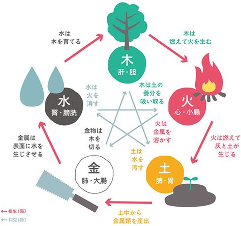 木火土金水 性格|【五行(ごぎょう)】相剋や相生｜木火土金水の意味・ 